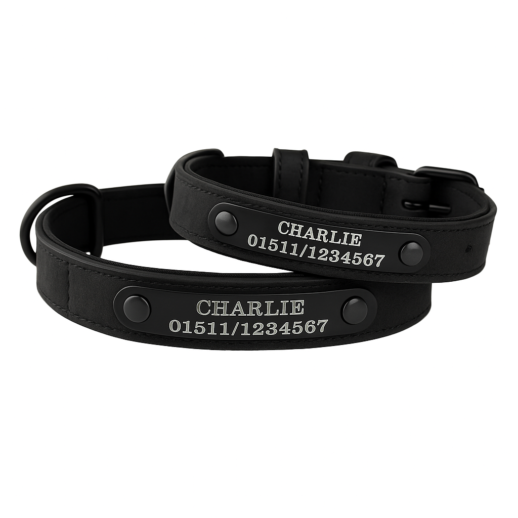 halsband-mit-namensplatte-personalisiert-vorne