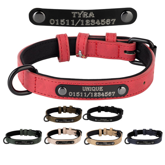 Hundehalsband mit Namensgravur – individuell & sicher